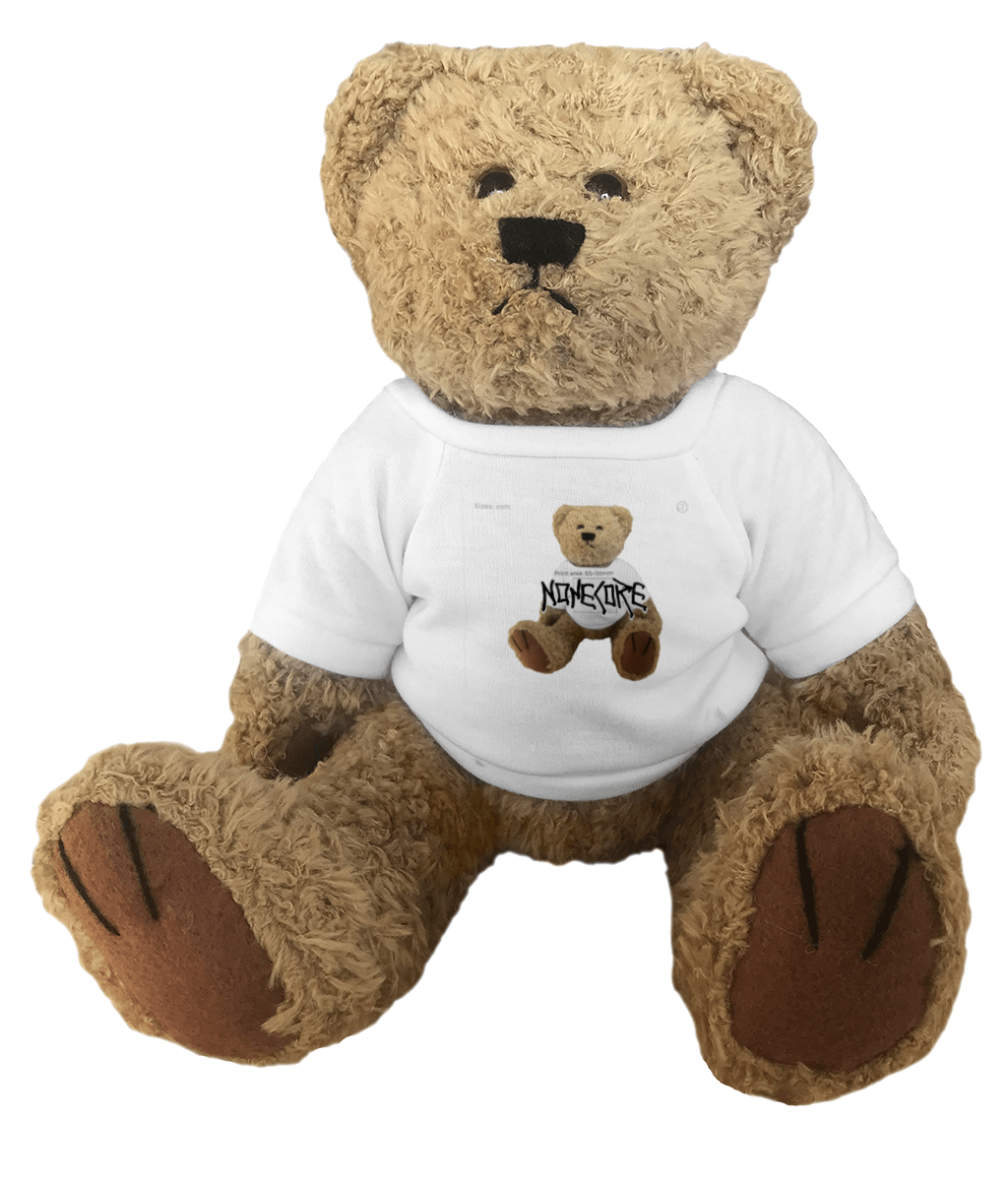 Teddy Bear nonecoreteddy
