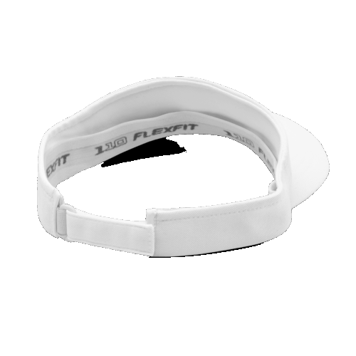 Visor