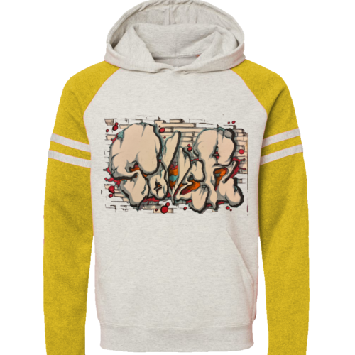 Varsity Colorblocked Raglan Hoodie